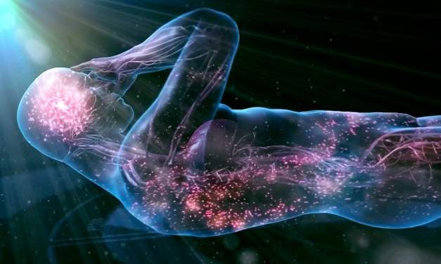Train Your Brain, Train Your Body: The Fusion of Mind-Body in MMA